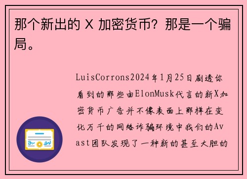 那个新出的 X 加密货币？那是一个骗局。